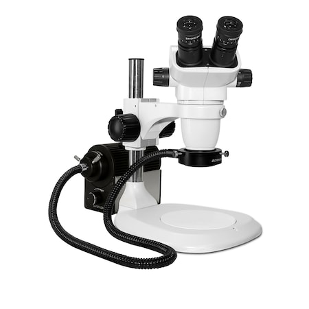 Scienscope SSZ Stereo Zoom Binocular With Fiber-Optic LED Light On Lab Stand SZ-PK1-AN